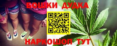 apvp Новодвинск