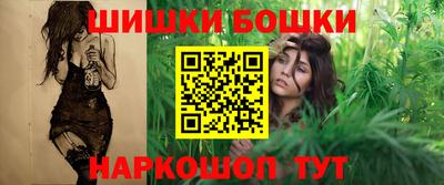 стаф Новокубанск