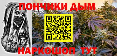 apvp Новодвинск