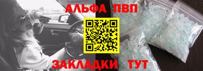 стаф Новокубанск
