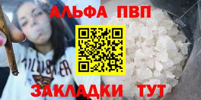 стаф Новокубанск